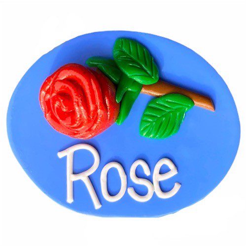 Daisy - Nursing name badges from badgeorders.co.nz